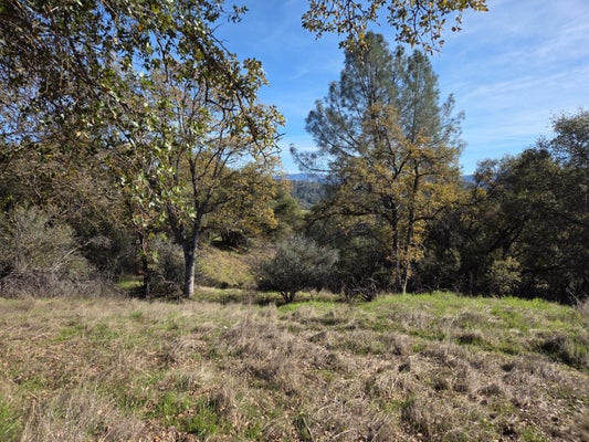 12 RD 222, BASS LAKE, CA 93604 - Image a447bb46c6de91c49d09593ea6c2a4d5/3063885035