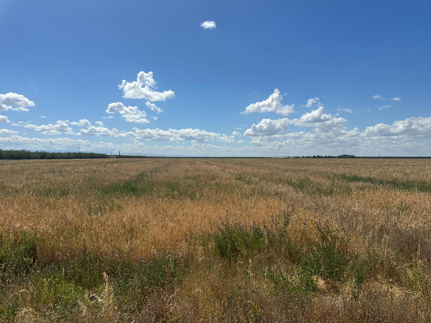 12250 S Jameson Avenue