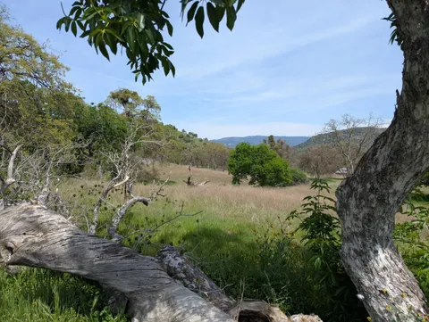 45288 Sand Creek Road, Yokuts Valley, CA 93675 - MLS#: 628112