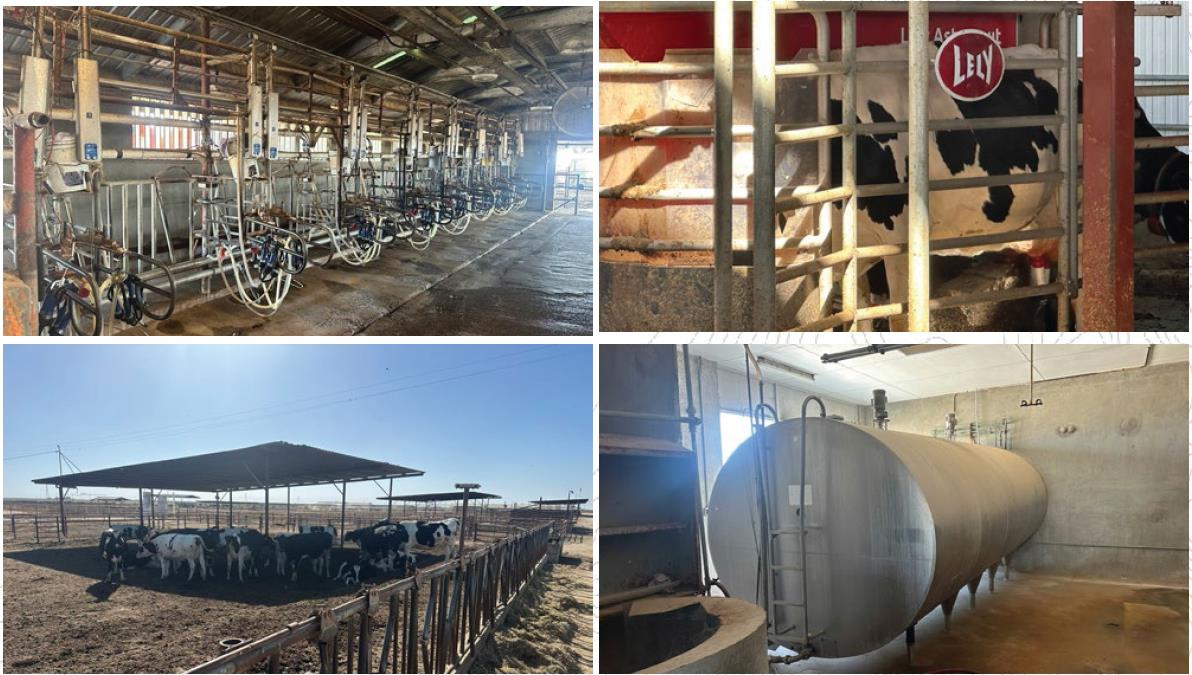 10255 W Manning Avenue