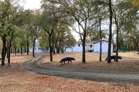 A home in North Fork