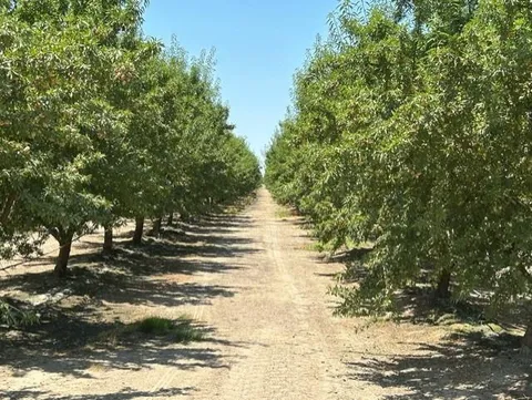 Road 23, Madera, CA 93637 - MLS#: 625990