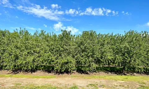 19805 Road 19, Madera, CA 93637 - MLS#: 616811