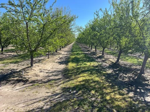 5836 S West Avenue, Fresno, CA 93706 - MLS#: 626607