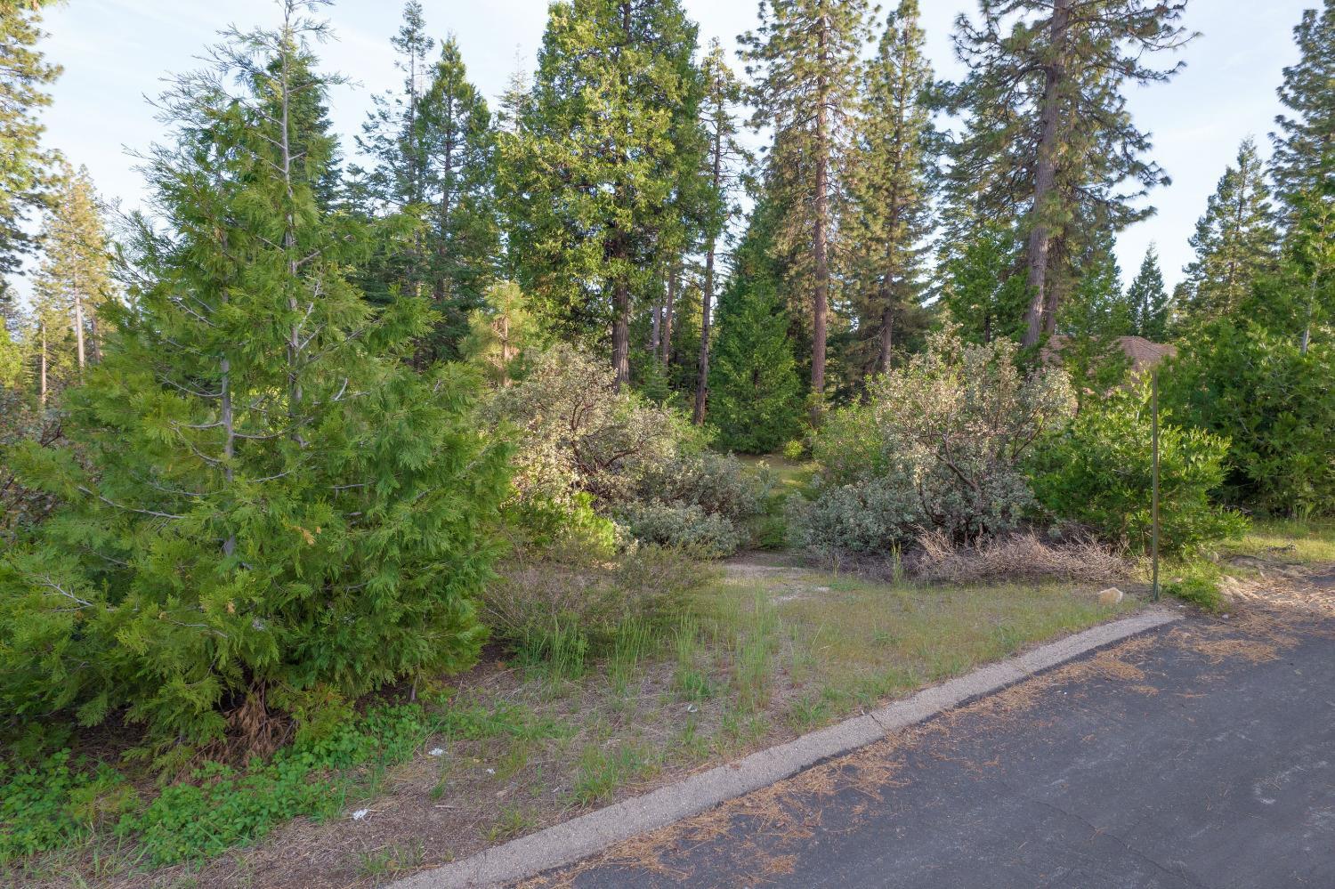 0 Lot 12 Leopard Lilly Ln - Photo 2