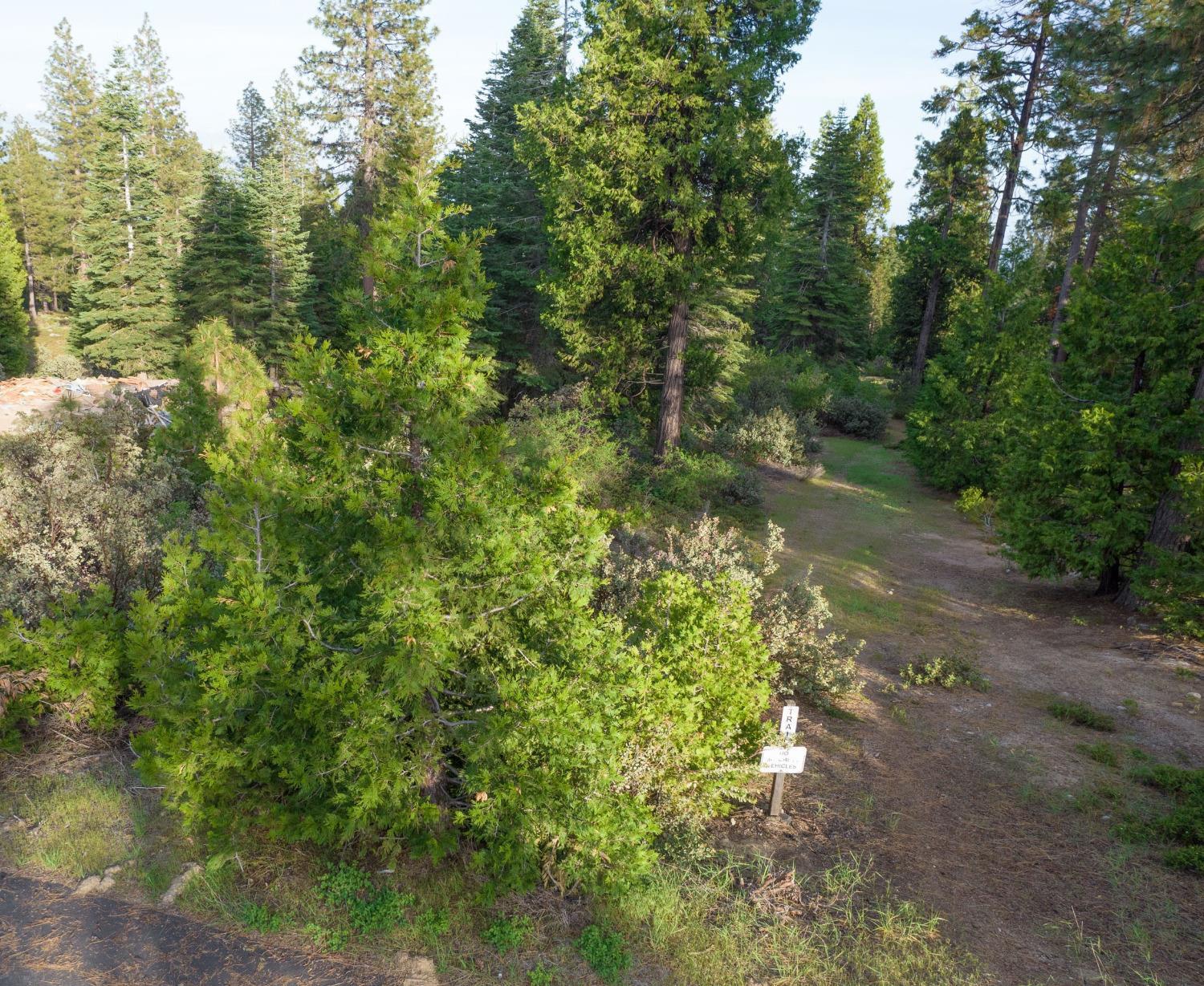 0 Lot 12 Leopard Lilly Ln - Photo 3