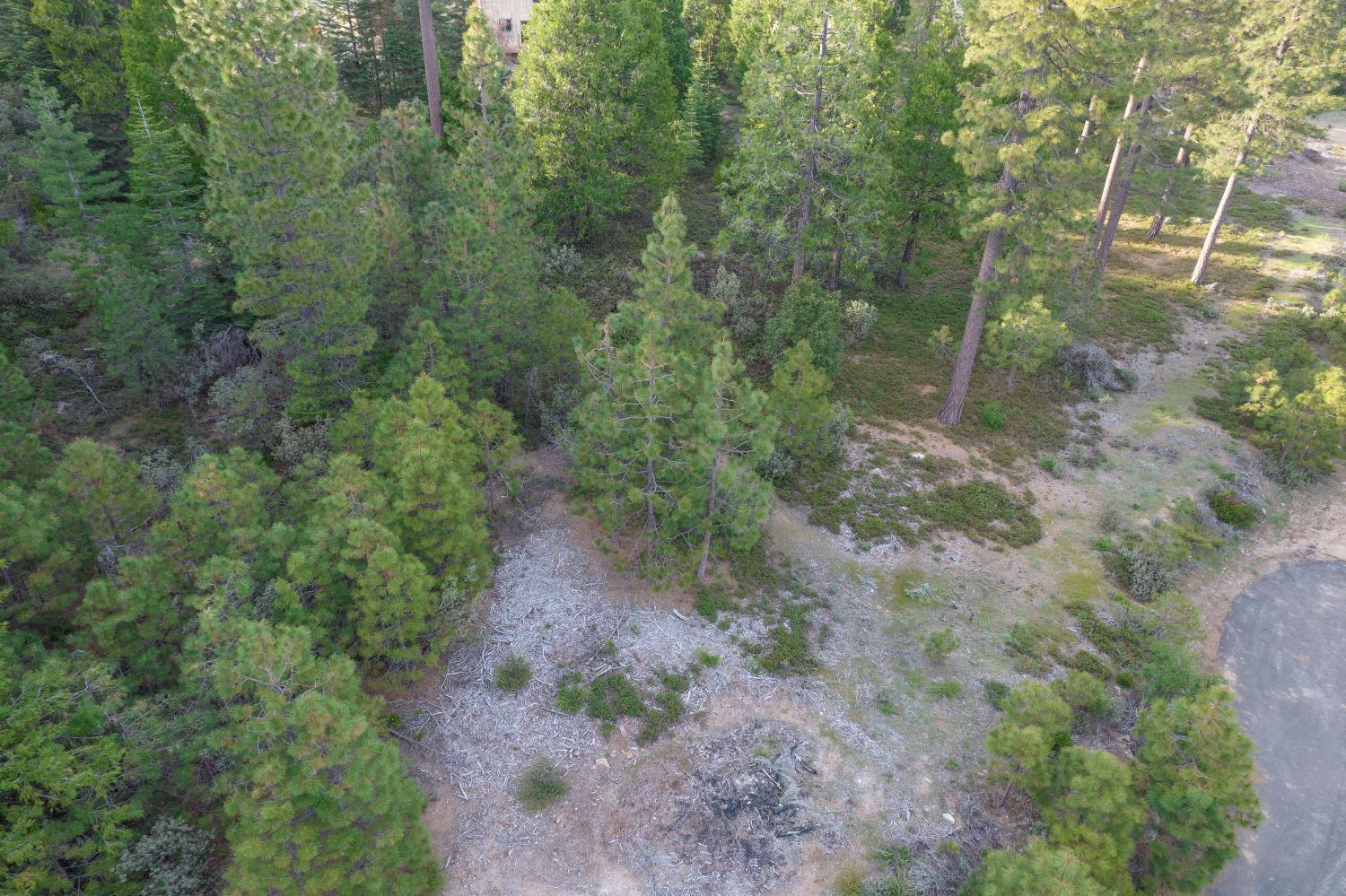 0 Lot 12 Leopard Lilly Ln - Photo 4
