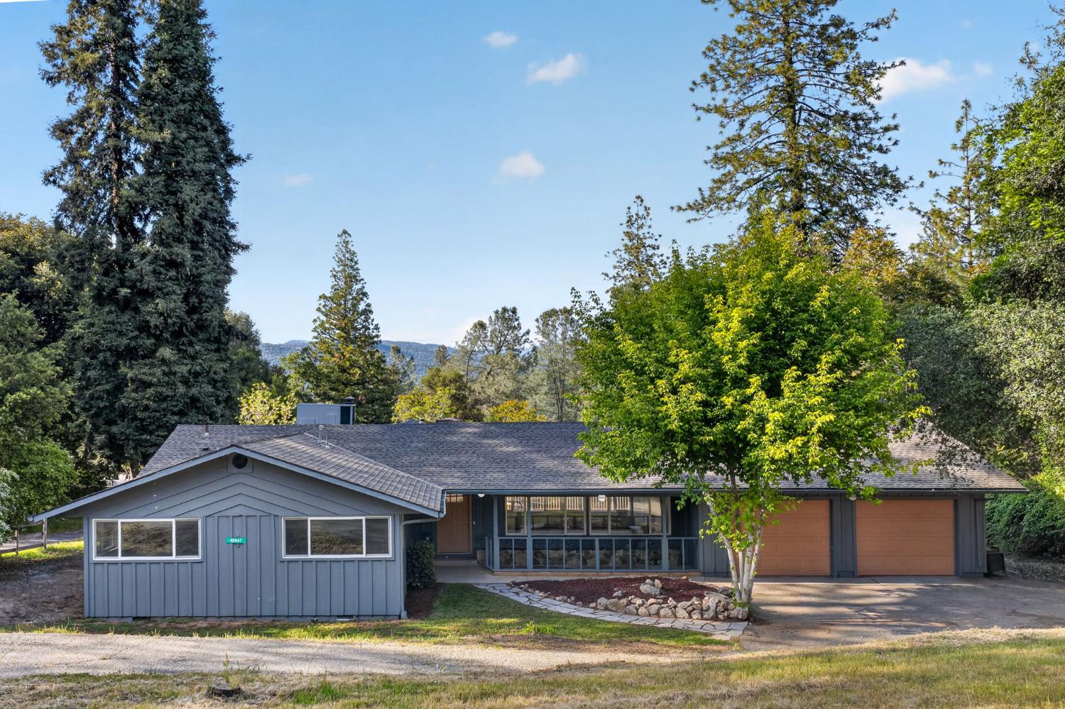 49947 Road 426 - Photo 2