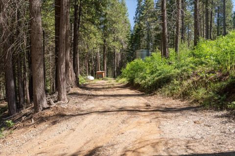 A home in Oakhurst