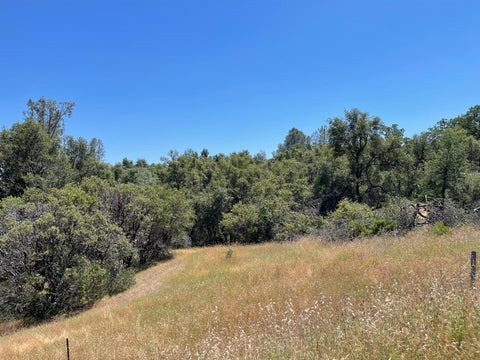 Featured picture for the property 613159