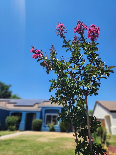 A home in Fresno