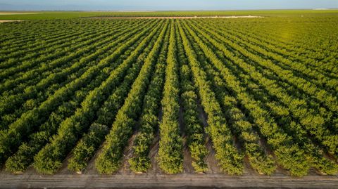 11885 Road 9 Madera CA 93637