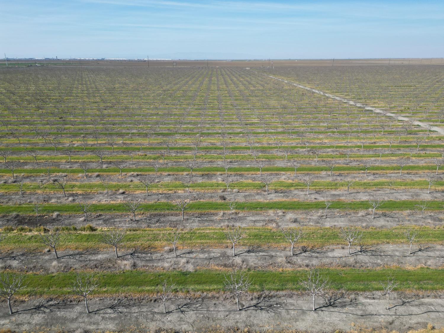 0 0 MOC: Oliveira Ranch