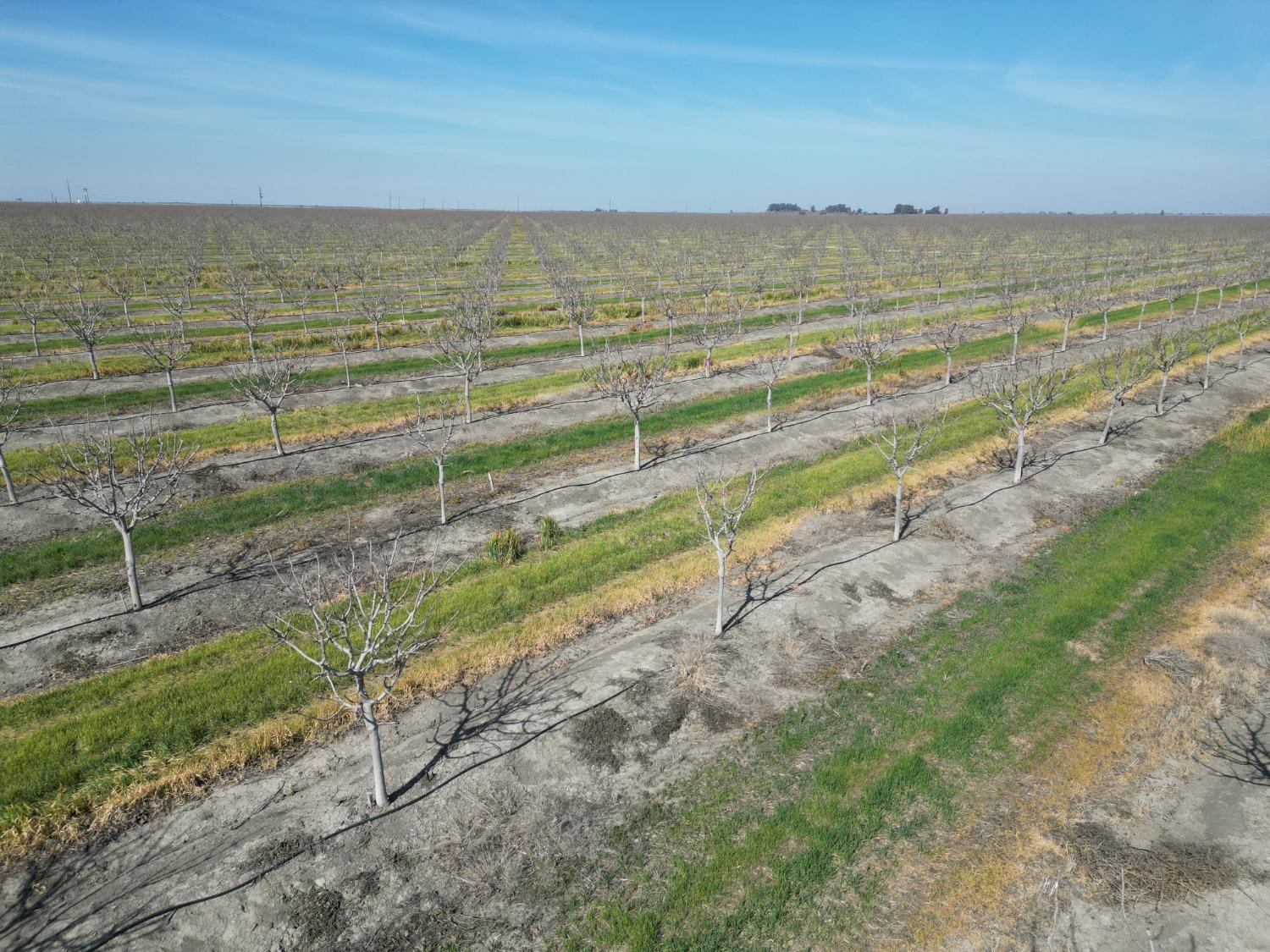 0 0 MOC: Oliveira Ranch