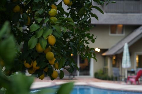 listing image 59