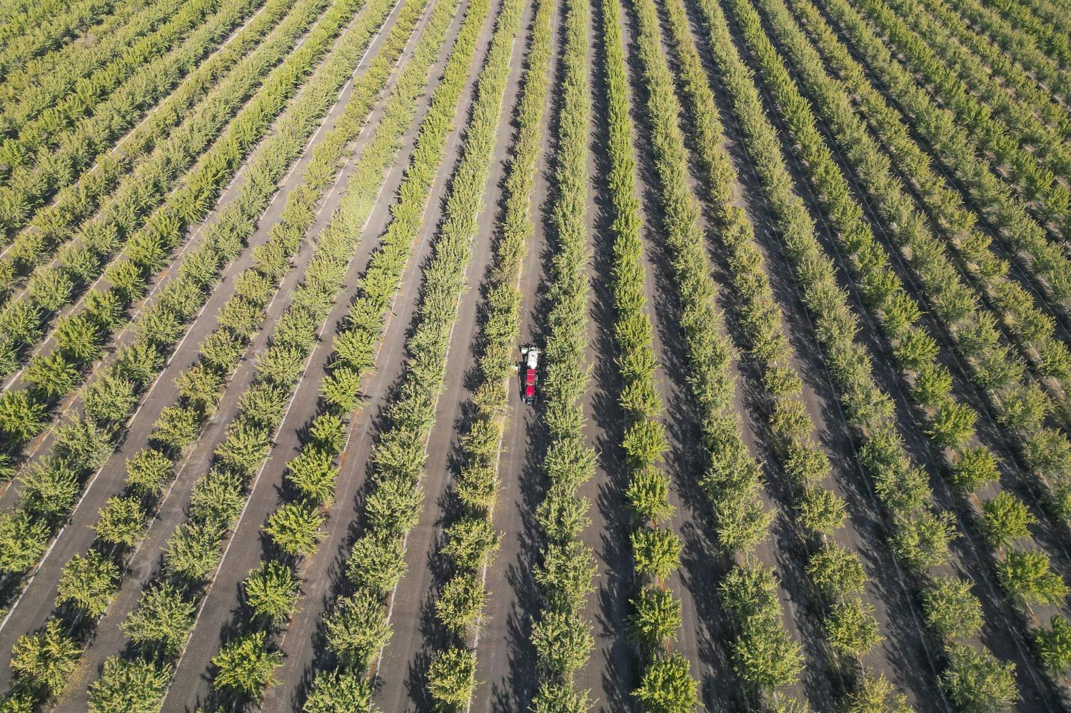 0 0 Springfield Avenue