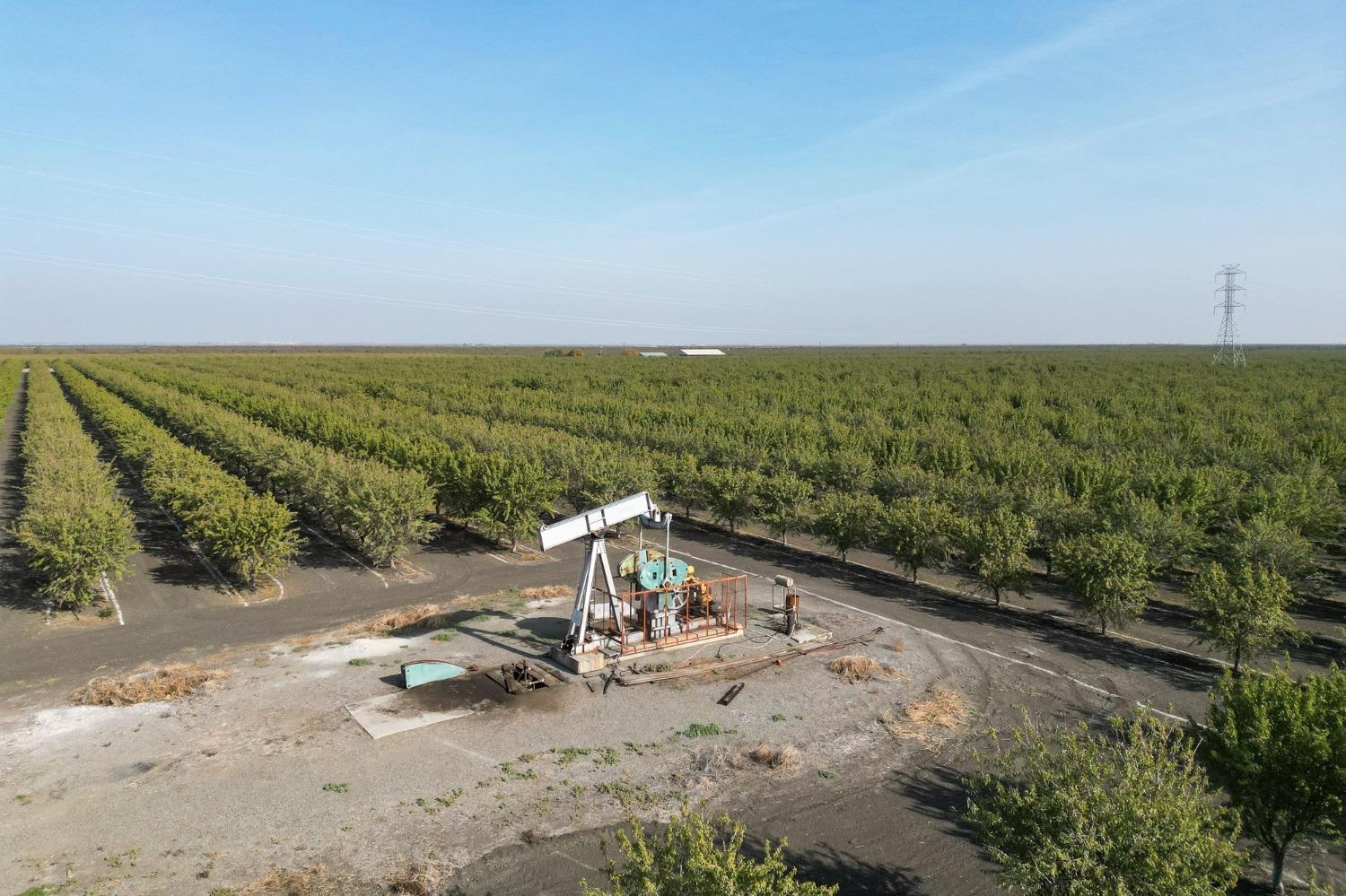 0 0 Springfield Avenue