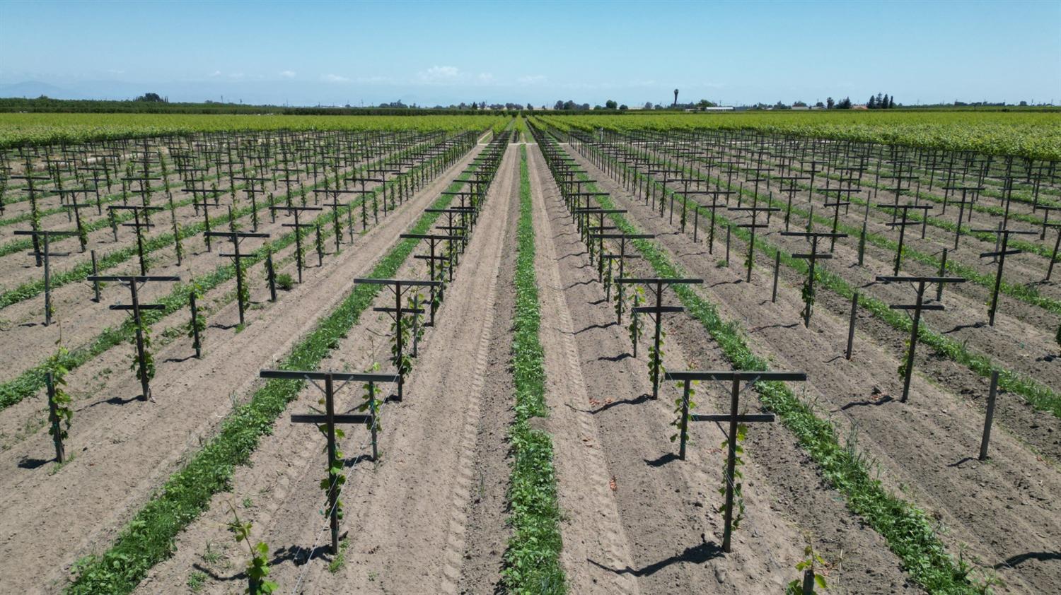 11250 E Dinuba Avenue