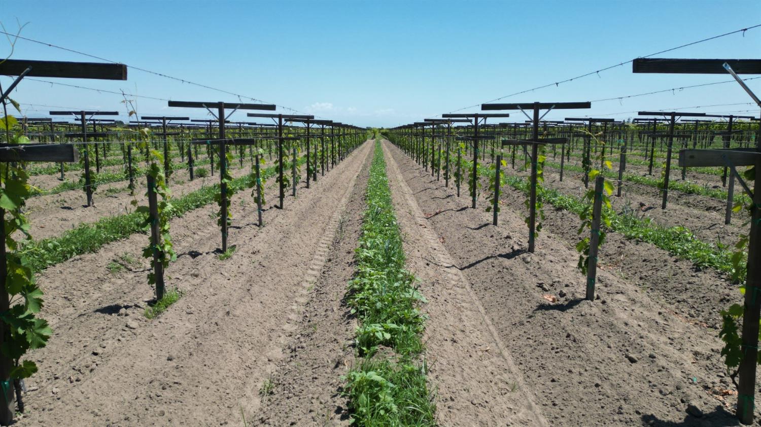 11250 E Dinuba Avenue