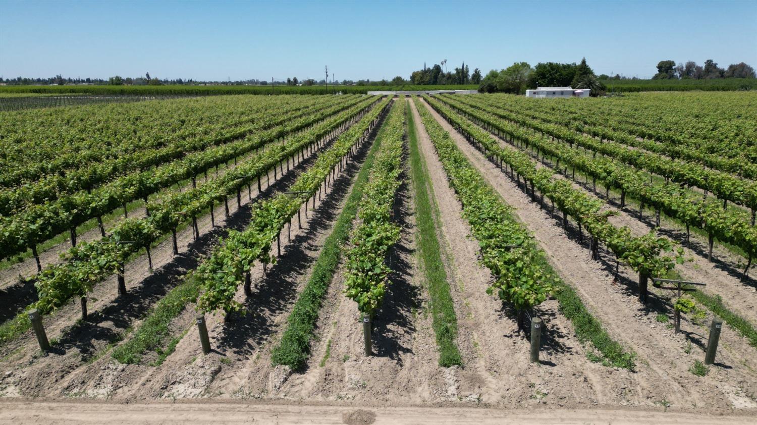 11250 E Dinuba Avenue