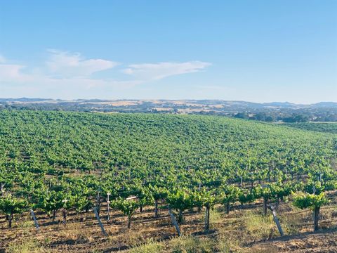 4860 Camp 8 Road Paso Robles CA 93446