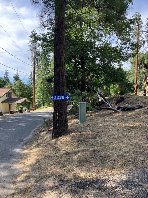 A home in Oakhurst