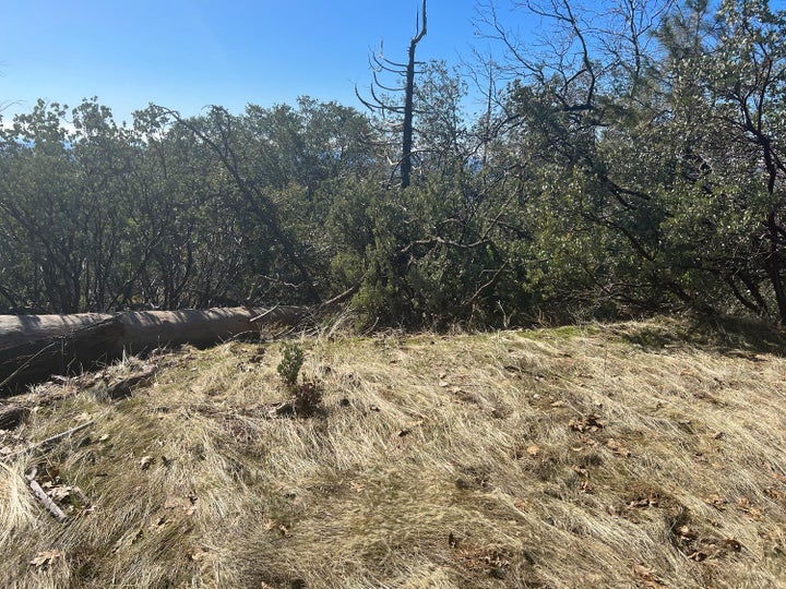 Photo 1 of 13 — 6225 Old Mill Road, Mariposa, CA 95338
