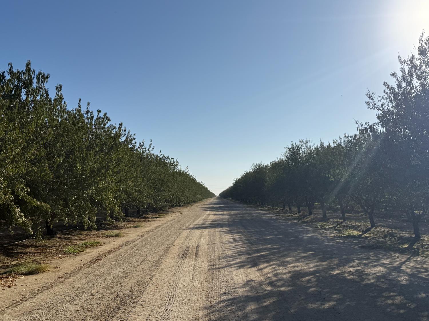9701 Road 32