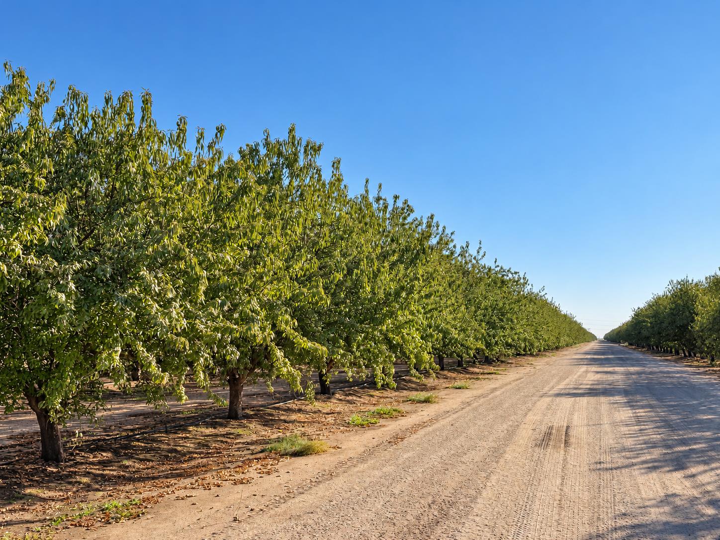 9701 Road 32
