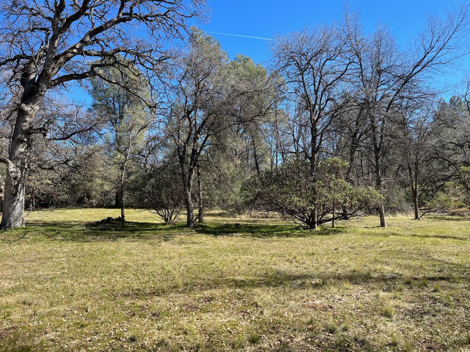32121 Bass Field