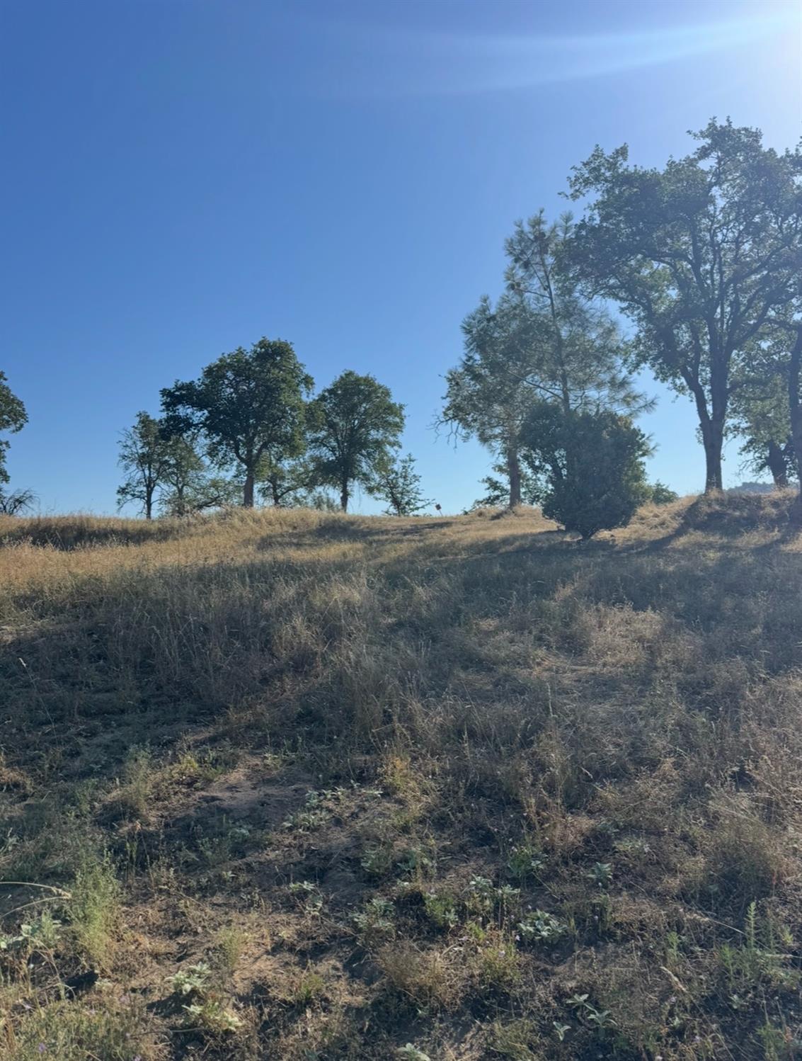 Photo 1 of 2 — 0 Titan Drive, Coarsegold, CA 93614