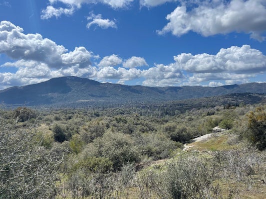 14 MIAMI HIGHLANDS, OAKHURST, CA 93644 - Image 8cbb48c3ed8a19f4abd66cad2f6d0e29/2136155952