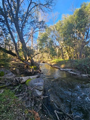 RD 225, NORTH FORK, CA 93643 - Image 8deebc9ea579ef12c164659afd66b1cb/553943946
