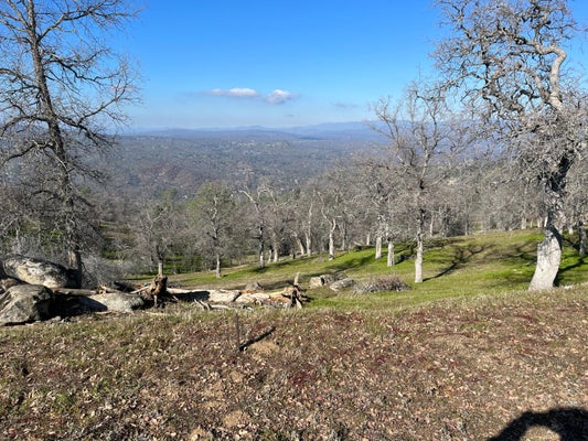 41173 LILLEY MOUNTAIN DR, COARSEGOLD, CA 93614 - Image db74b20714a3d845b2ff69a2fd7ddfe3/1250066198