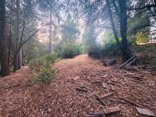 CEDAR RIDGE CIR S, OAKHURST, CA 93644 - Image dd3c81cd4e61a52a7c0982eca6c19a2b/1137980418