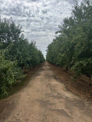 22741 ROAD 18 1/2, CHOWCHILLA, CA 93610 - Image eafd596ab6d8e939521a6f4a2cf0ceb9/3254685920