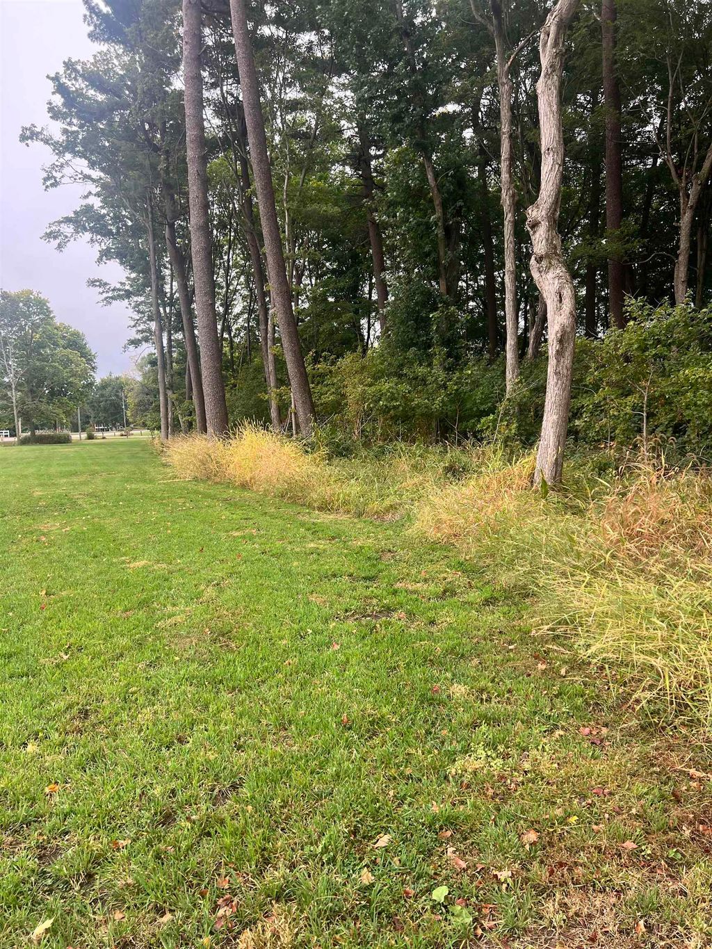 Photo of Lot 1 Maurer ADDN 3rd Street, Delhi, IA 52223 (MLS # 153978)