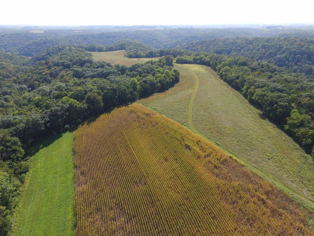 Photo of 0000 Ryan Hill Road, Harpers Ferry, IA 52146 (MLS # 152985)