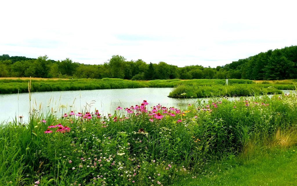 Photo of 5364 Everson Road, Other, WI 53516 (MLS # 150199)