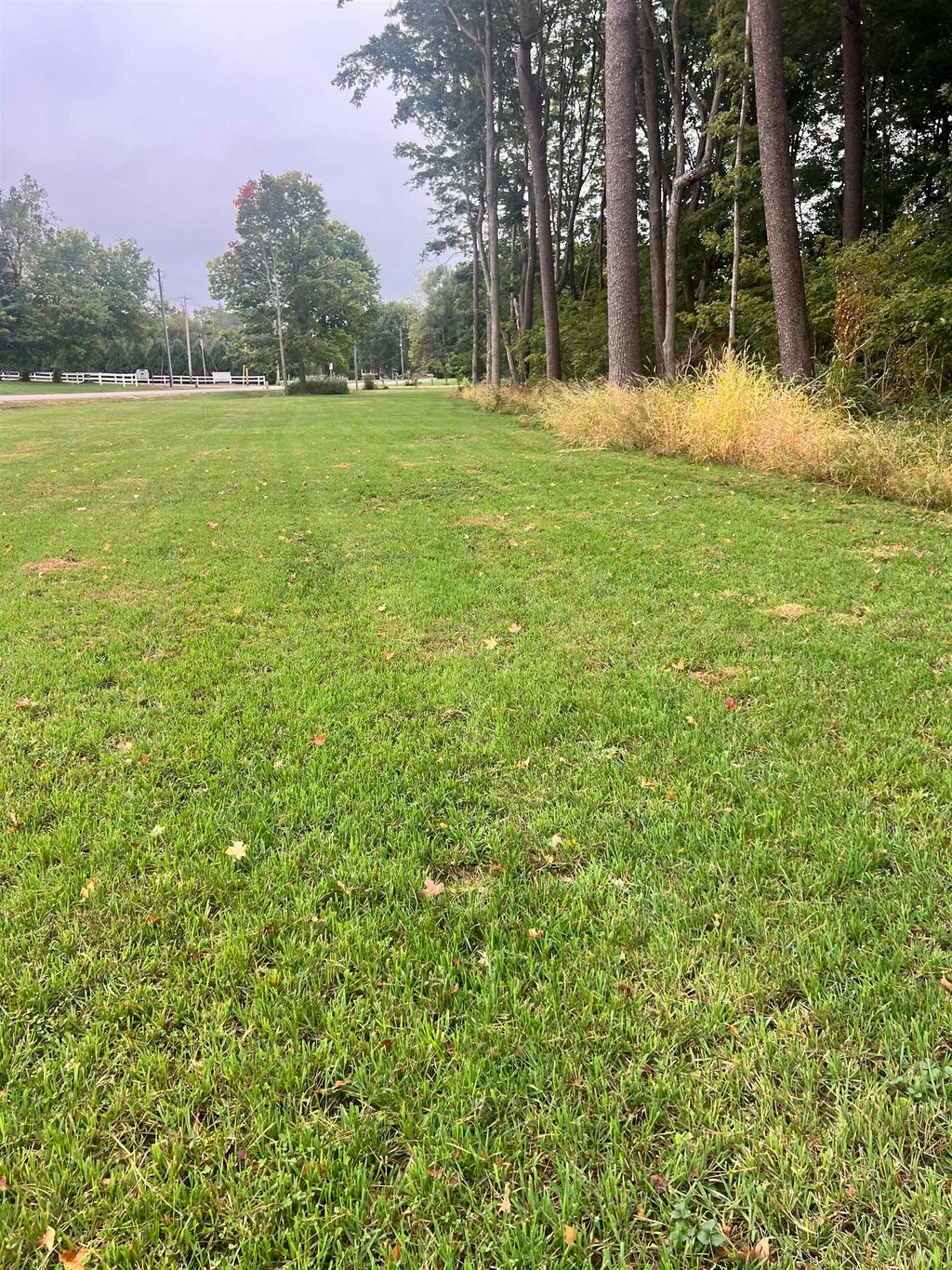 Photo of Lot 1 Maurer ADDN 3rd Street, Delhi, IA 52223 (MLS # 153201)