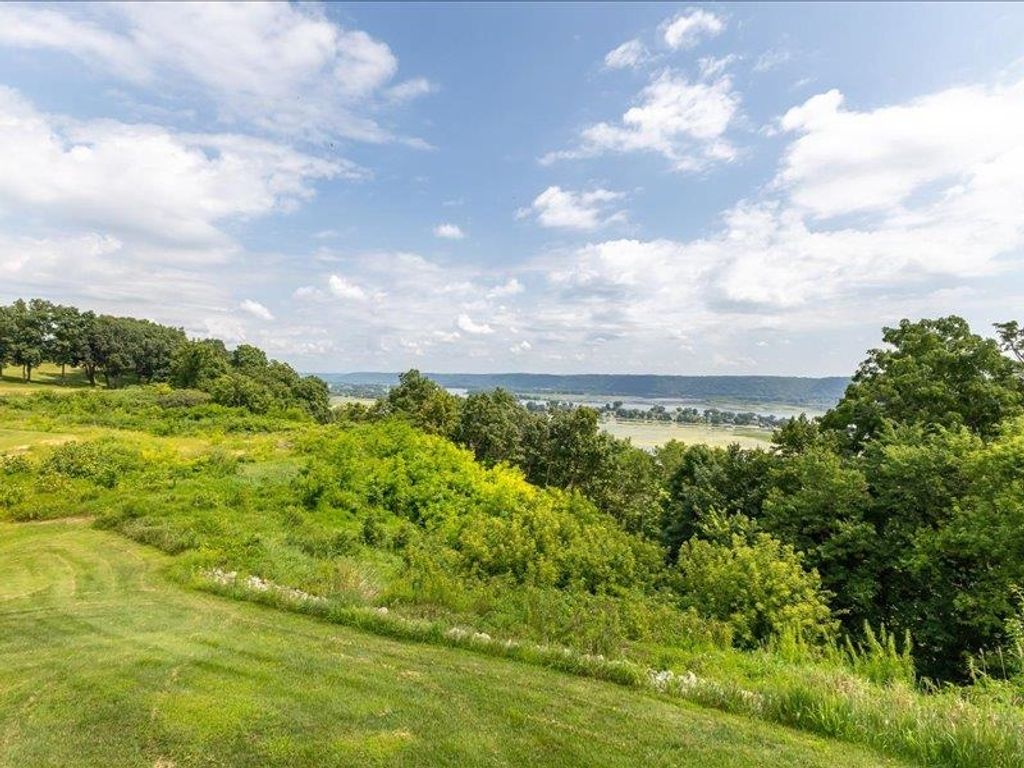 Photo of 123 Royal Oaks Court, Guttenberg, IA 52052 (MLS # 152720)