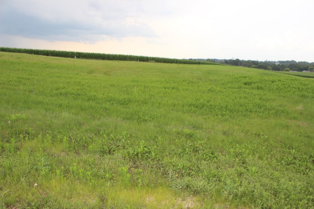 Photo of Lot 3 Timber Drive, Maquoketa, IA 52060 (MLS # 149804)