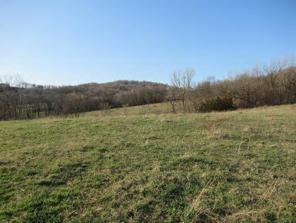 Photo of Durango, IA 52039 (MLS # 155973)