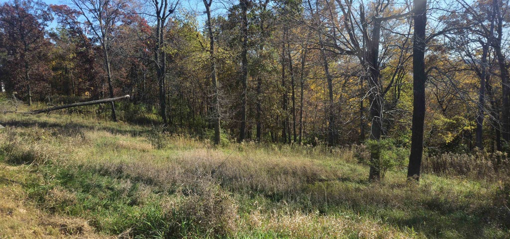 Photo of Bellevue, IA 52031 (MLS # 156060)
