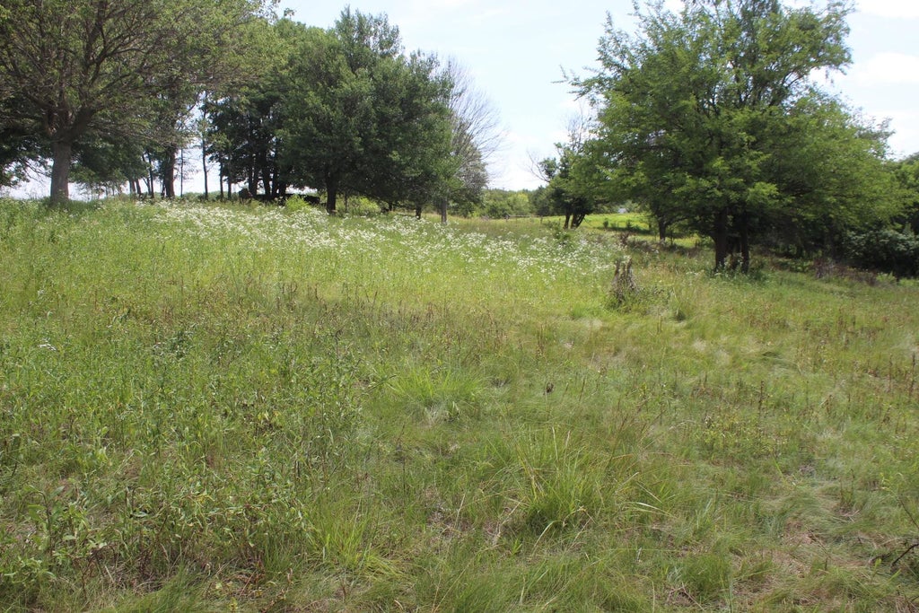Photo of Maquoketa, IA 52060 (MLS # 155331)