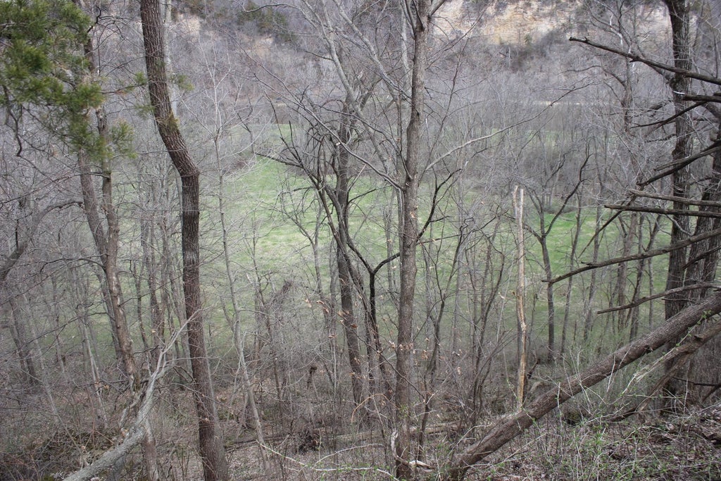 Photo of Maquoketa, IA 52060 (MLS # 154991)
