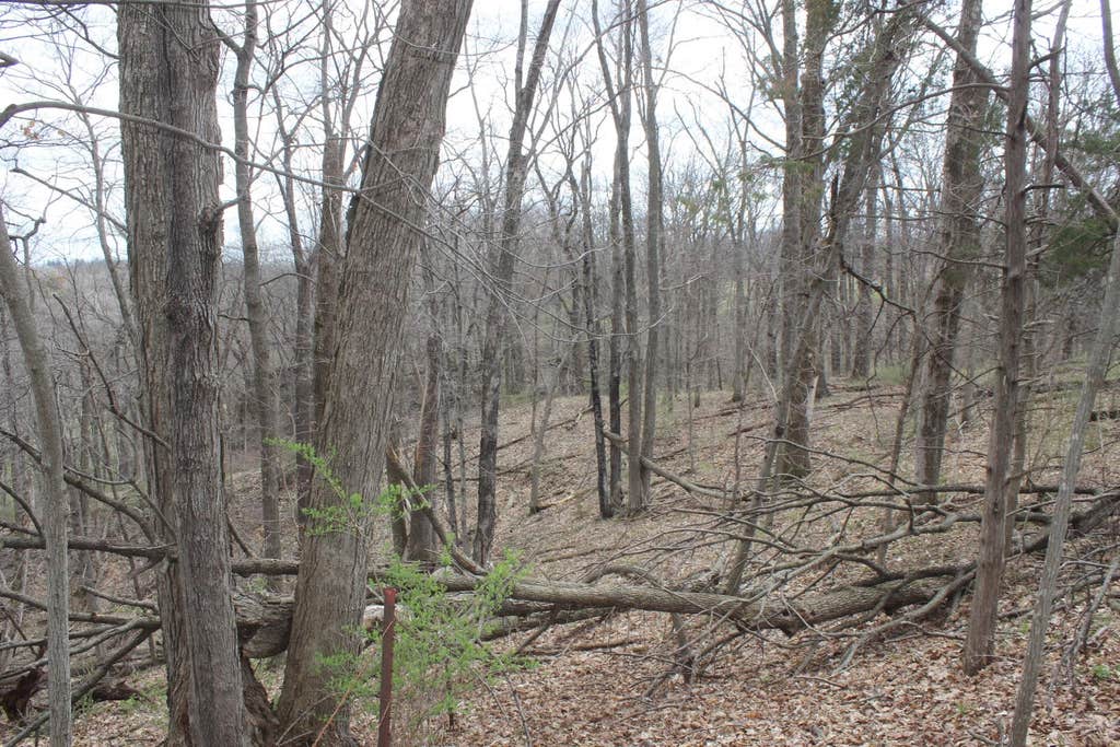 Photo of Maquoketa, IA 52060 (MLS # 154991)