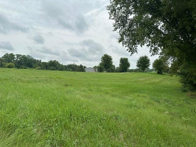 Photo of East Dubuque, IL 61025 (MLS # 155459)