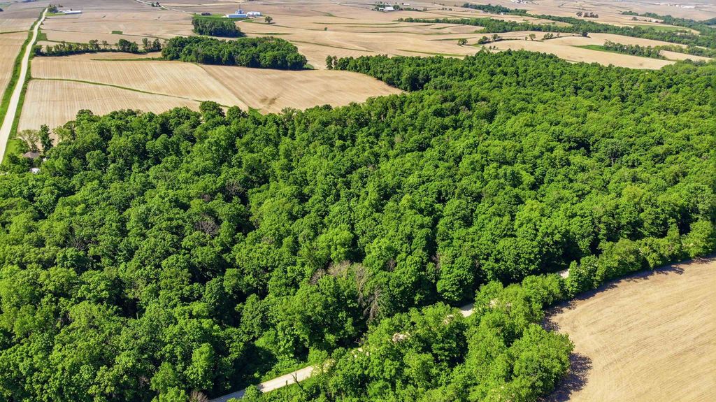 Photo of Colesburg, IA 52035 (MLS # 154745)