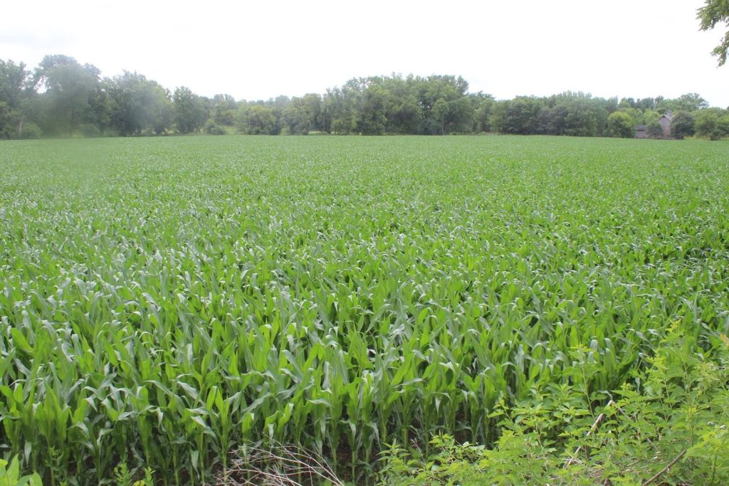 Photo of Maquoketa, IA 52060 (MLS # 154493)